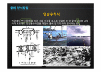 [수산경영] 굴 양식업-11