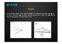[수산경영] 굴 양식업-13