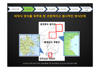 [수산경영] 굴 양식업-16