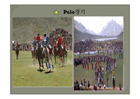 Shandur Polo-The Sport is Daring 영문법 연구-5