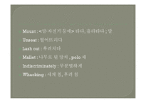 Shandur Polo-The Sport is Daring 영문법 연구-9