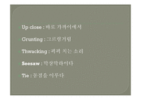 Shandur Polo-The Sport is Daring 영문법 연구-11