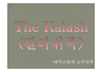 Shandur Polo-The Sport is Daring 영문법 연구-19