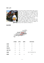 [외식산업론] 하나돈까스의 성공요인과 마케팅 전략 연구-5