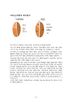 [외식산업론] 하나돈까스의 성공요인과 마케팅 전략 연구-10