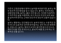 체인 외식 사업 놀부보쌈 성공 요인, 경영 이념, 설립 목적, 비전과 목표, 연혁, 마케팅 전략, 특별한 서비스 마인드, 정보, 현황, 특징, 마케팅 효과, 분석-17
