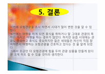 모험 관광 정의, 종류, 트레킹, 백두산 트레킹, 여행 일정, 현황, 계획, 관광지 소개, 종류, 특징, 역사, 국내 현황, 활성화 방안, 전망-18