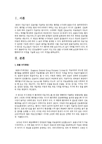의료비 포괄수가제에 대한 자신의 견해-2