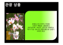 남원시 소개, 부서 소개, 예산 현황, 문화 정책, 문제점, 해결책, 변화, 특징, 현황, 사례, 해결방안, 관리, 시사점, 조사분-17