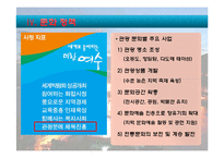 여수시 소개, 부서 소개, 예산 현황, 문화 정책, 문제점, 해결책, 변화, 특징, 현황, 사례, 해결방안, 관리, 시사점, 조사분석-7