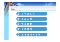 장수군 소개, 부서 소개, 예산 현황, 문화 정책, 문제점, 해결책, 변화, 특징, 현황, 사례, 해결방안, 관리, 시사점, 조사분석-2