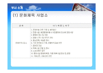 장수군 소개, 부서 소개, 예산 현황, 문화 정책, 문제점, 해결책, 변화, 특징, 현황, 사례, 해결방안, 관리, 시사점, 조사분석-6