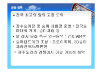 장수군 소개, 부서 소개, 예산 현황, 문화 정책, 문제점, 해결책, 변화, 특징, 현황, 사례, 해결방안, 관리, 시사점, 조사분석-14