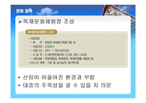 장수군 소개, 부서 소개, 예산 현황, 문화 정책, 문제점, 해결책, 변화, 특징, 현황, 사례, 해결방안, 관리, 시사점, 조사분석-16