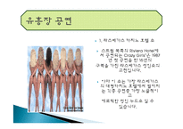 국내 공연 특징, 정의, 한국 공연의 상품화, 풍수지리 분석, 한국 공연 예술의 상품화, 국내 생활 풍수, 산세와 명당, 특징, 현황, 사례, 관리, 역할, 기법, 시사점, 조사분석-9