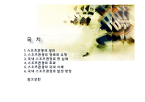 스포츠 관광의 정의, 형태, 유형, 국내 스포츠 관광 현황, 효과, 국내 사례, 국내 스포츠 관광의 발전방향, 특징, 현황, 사례, 관리, 역할, 기법, 시사-2