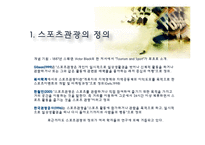 스포츠 관광의 정의, 형태, 유형, 국내 스포츠 관광 현황, 효과, 국내 사례, 국내 스포츠 관광의 발전방향, 특징, 현황, 사례, 관리, 역할, 기법, 시사-3