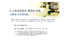 스포츠 관광의 정의, 형태, 유형, 국내 스포츠 관광 현황, 효과, 국내 사례, 국내 스포츠 관광의 발전방향, 특징, 현황, 사례, 관리, 역할, 기법, 시사-6