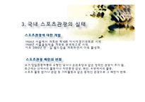 스포츠 관광의 정의, 형태, 유형, 국내 스포츠 관광 현황, 효과, 국내 사례, 국내 스포츠 관광의 발전방향, 특징, 현황, 사례, 관리, 역할, 기법, 시사-11