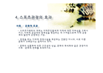스포츠 관광의 정의, 형태, 유형, 국내 스포츠 관광 현황, 효과, 국내 사례, 국내 스포츠 관광의 발전방향, 특징, 현황, 사례, 관리, 역할, 기법, 시사-14