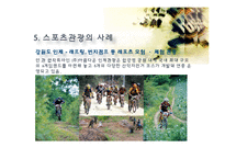스포츠 관광의 정의, 형태, 유형, 국내 스포츠 관광 현황, 효과, 국내 사례, 국내 스포츠 관광의 발전방향, 특징, 현황, 사례, 관리, 역할, 기법, 시사-17