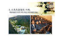 스포츠 관광의 정의, 형태, 유형, 국내 스포츠 관광 현황, 효과, 국내 사례, 국내 스포츠 관광의 발전방향, 특징, 현황, 사례, 관리, 역할, 기법, 시사-19