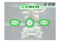 음식문화와 성문화, 문화 관광, 각국의 음식문화와 성문화, 우리나라 음식문화와 성문화, 향후 발전 마케팅, 특징, 현황, 관리, 역할, 사례, 시사점, 조사분석-16