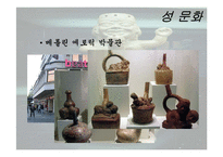 음식문화와 성문화, 문화 관광, 각국의 음식문화와 성문화, 우리나라 음식문화와 성문화, 향후 발전 마케팅, 특징, 현황, 관리, 역할, 사례, 시사점, 조사분석-18