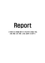 포켓몬스터 만화를 통한 반 기독교적인 문제점, 특징, 사례, 현황, 나의 견해, 느낀점, 총체적 조사분석-1