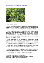 에센셜 오일의 종류(양,음오일)-8
