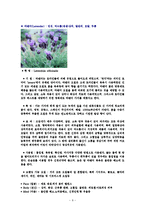 에센셜 오일의 종류(양,음오일)-9
