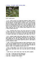 에센셜 오일의 종류(양,음오일)-11