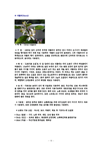 에센셜 오일의 종류(양,음오일)-12