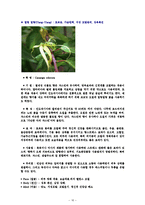에센셜 오일의 종류(양,음오일)-16