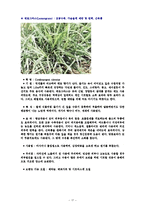 에센셜 오일의 종류(양,음오일)-17