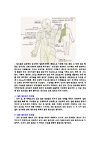 림프 드레나쥐 레포트-14