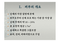 피부의 구조와 기능-3