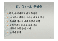 피부의 구조와 기능-9