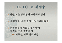 피부의 구조와 기능-10