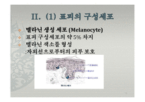 피부의 구조와 기능-15