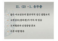 피부의 구조와 기능-17