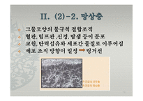 피부의 구조와 기능-18