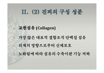 피부의 구조와 기능-19