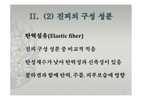 피부의 구조와 기능-20