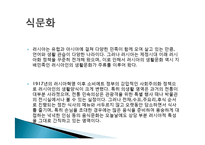 러시아의 의식주, 기후, 러시아인들의 옷, 음식, 주거생활, 특징, 현황, 사례, 관리, 역할, 시사점, 나의견해, 총체적 조사분석-9