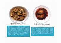 러시아의 의식주, 기후, 러시아인들의 옷, 음식, 주거생활, 특징, 현황, 사례, 관리, 역할, 시사점, 나의견해, 총체적 조사분석-12