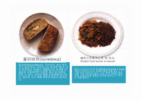 러시아의 의식주, 기후, 러시아인들의 옷, 음식, 주거생활, 특징, 현황, 사례, 관리, 역할, 시사점, 나의견해, 총체적 조사분석-13