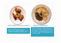 러시아의 의식주, 기후, 러시아인들의 옷, 음식, 주거생활, 특징, 현황, 사례, 관리, 역할, 시사점, 나의견해, 총체적 조사분석-14