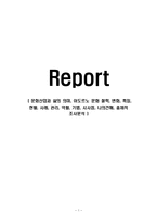 문화산업과 삶의 의미, 아도르노 문화 철학, 변화, 특징, 현황, 사례, 관리, 역할, 기법, 시사점, 나의견해, 총체적 조사분석-1