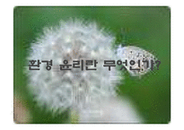 핵윤리와 환경윤리의 특성, 핵 이데올로기, 핵의 발견, 과학과 정치의 관계, 반핵운동, 기술지향주의, 생태지향주의, 생태학적 위기와 책임의 관리, 특징, 역할, 기법, 시사점-16